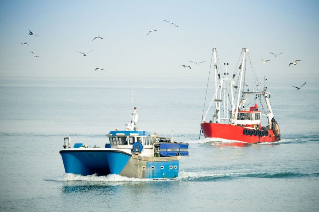pêche post-Brexit Jersey